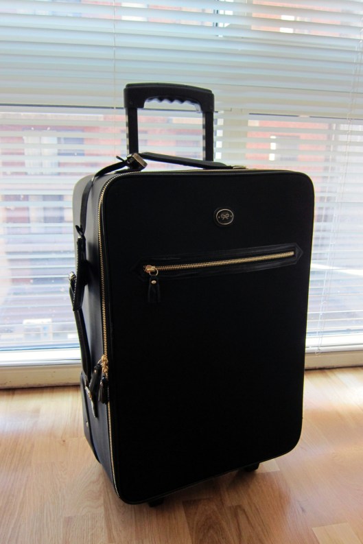 anya hindmarch suitcase