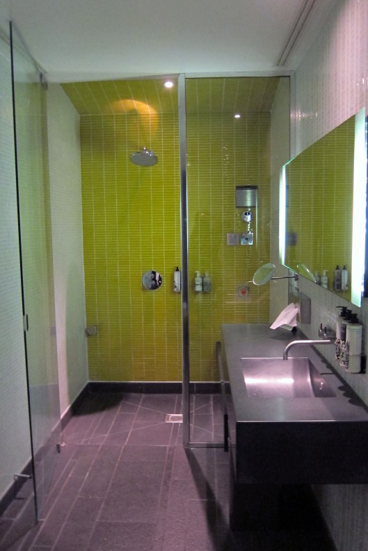 virgin atlantic shower 1