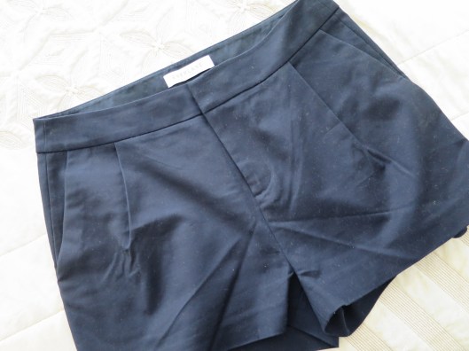 everlane shorts