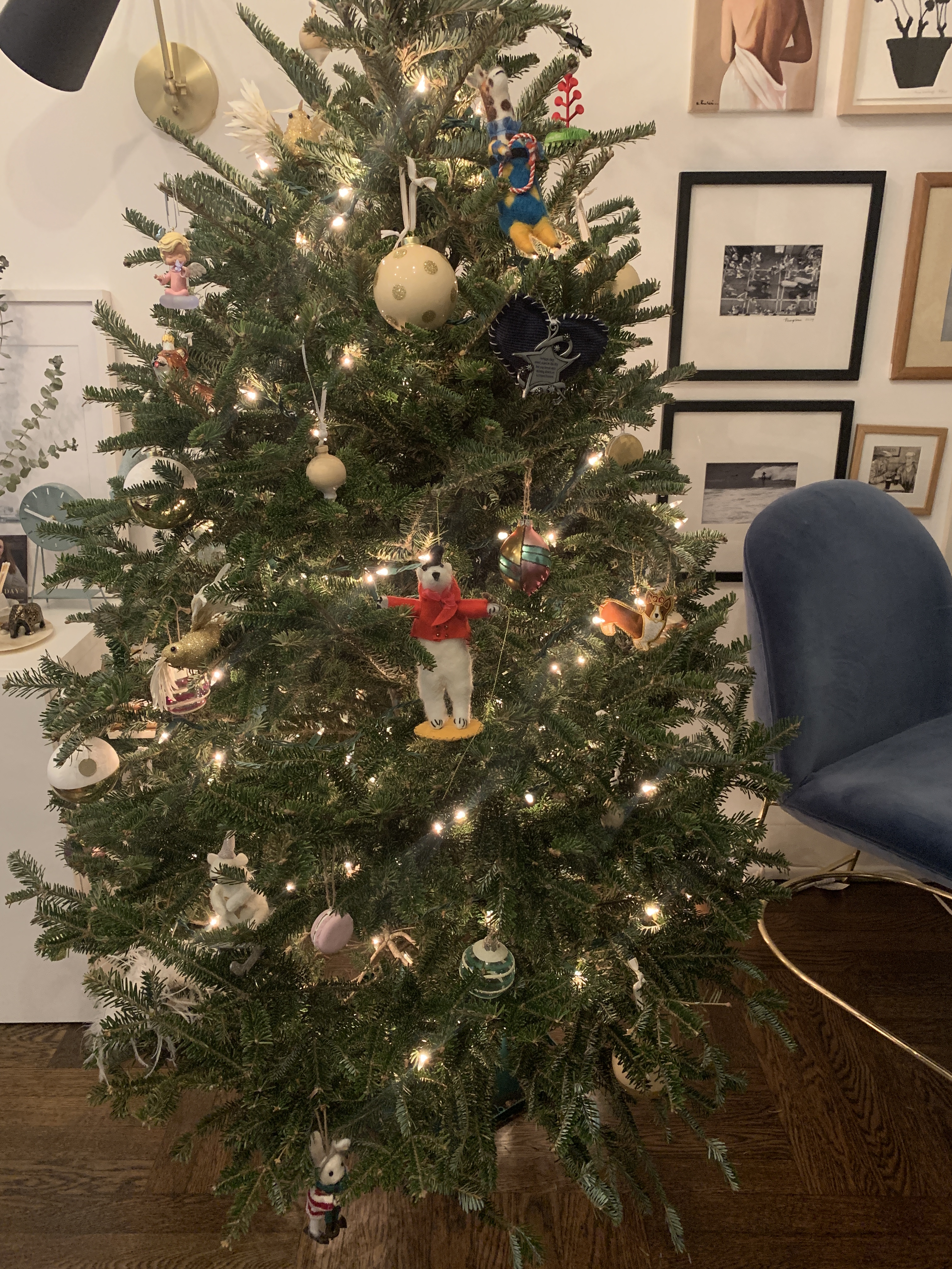 5A5244ED-6A4A-4E09-B6CD-EAE7E87AE91B