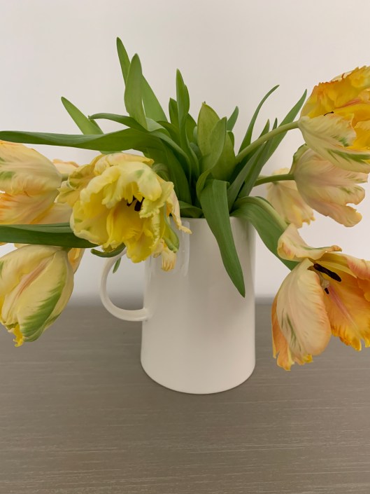 41648DD4-34B5-4C33-980B-59ECD038AD5A