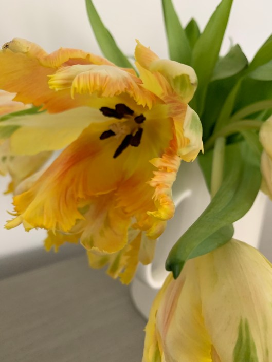 D510011C-5C7B-4B17-9795-A3F4C576D86E