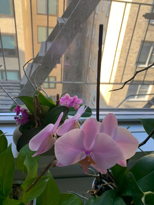 4C0296E1-20E0-4F5A-8599-821F77583CF8