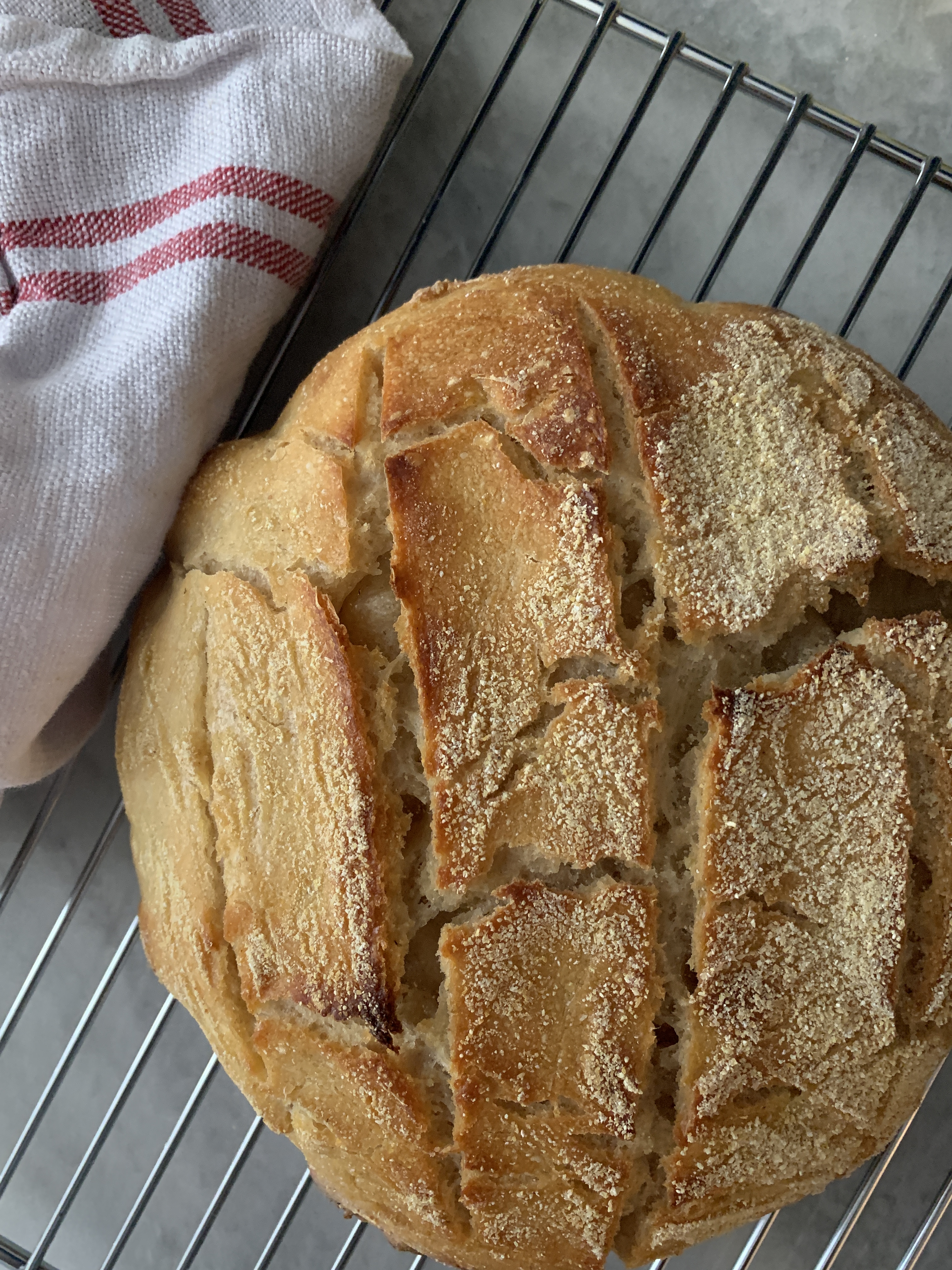 6133D73F-788E-4034-AB64-944FF048D160