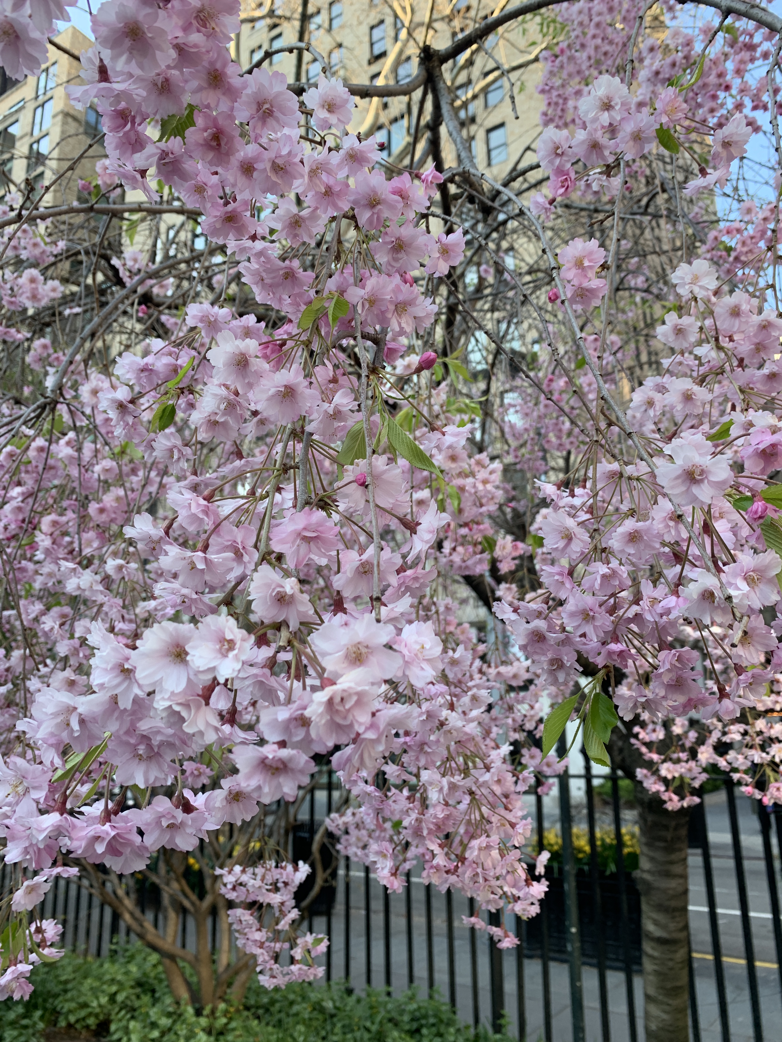 63A759E2-9EB2-4133-B374-B4932EE4157B