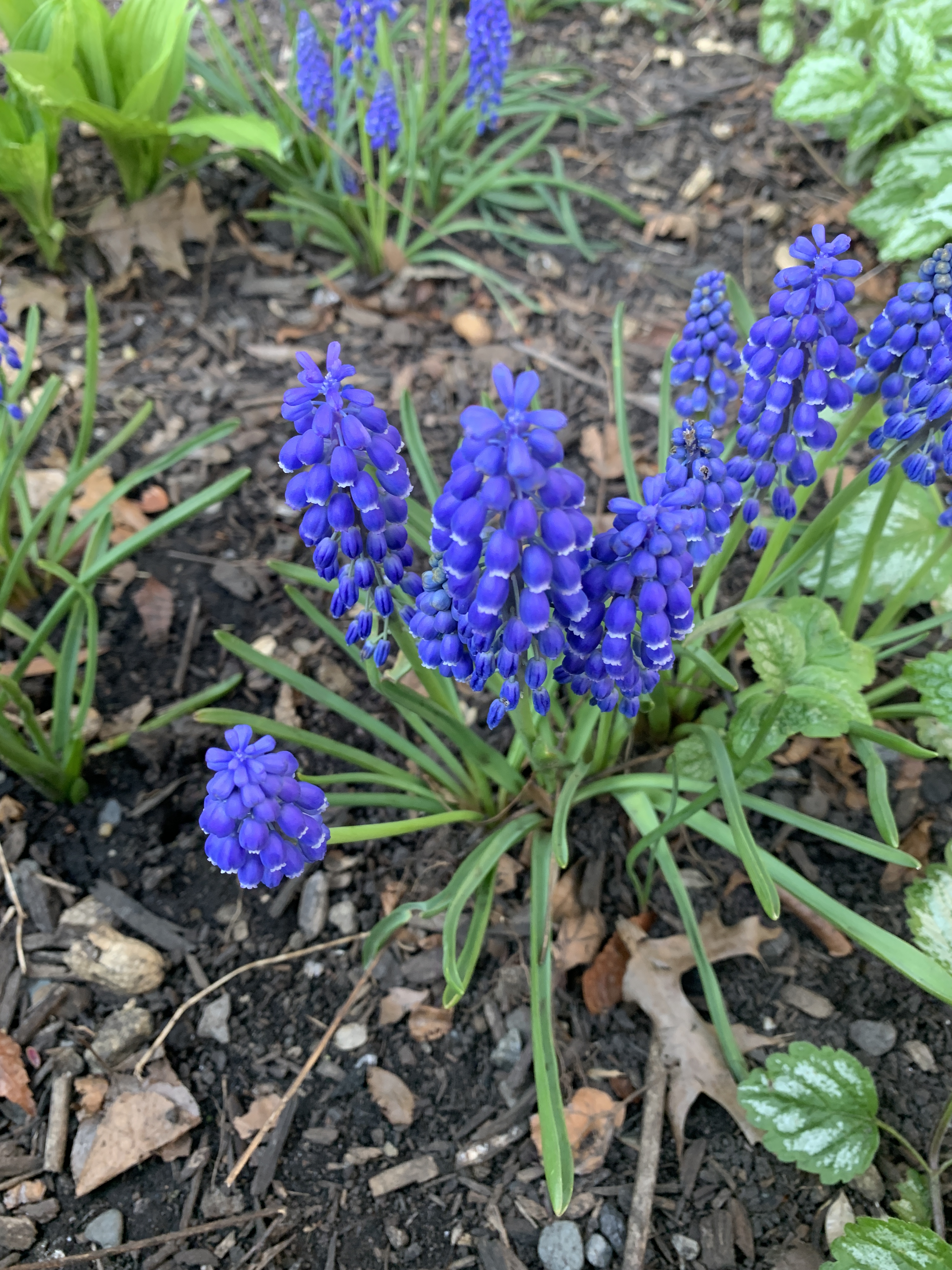 9358F880-6530-4925-8DEA-331087757F13