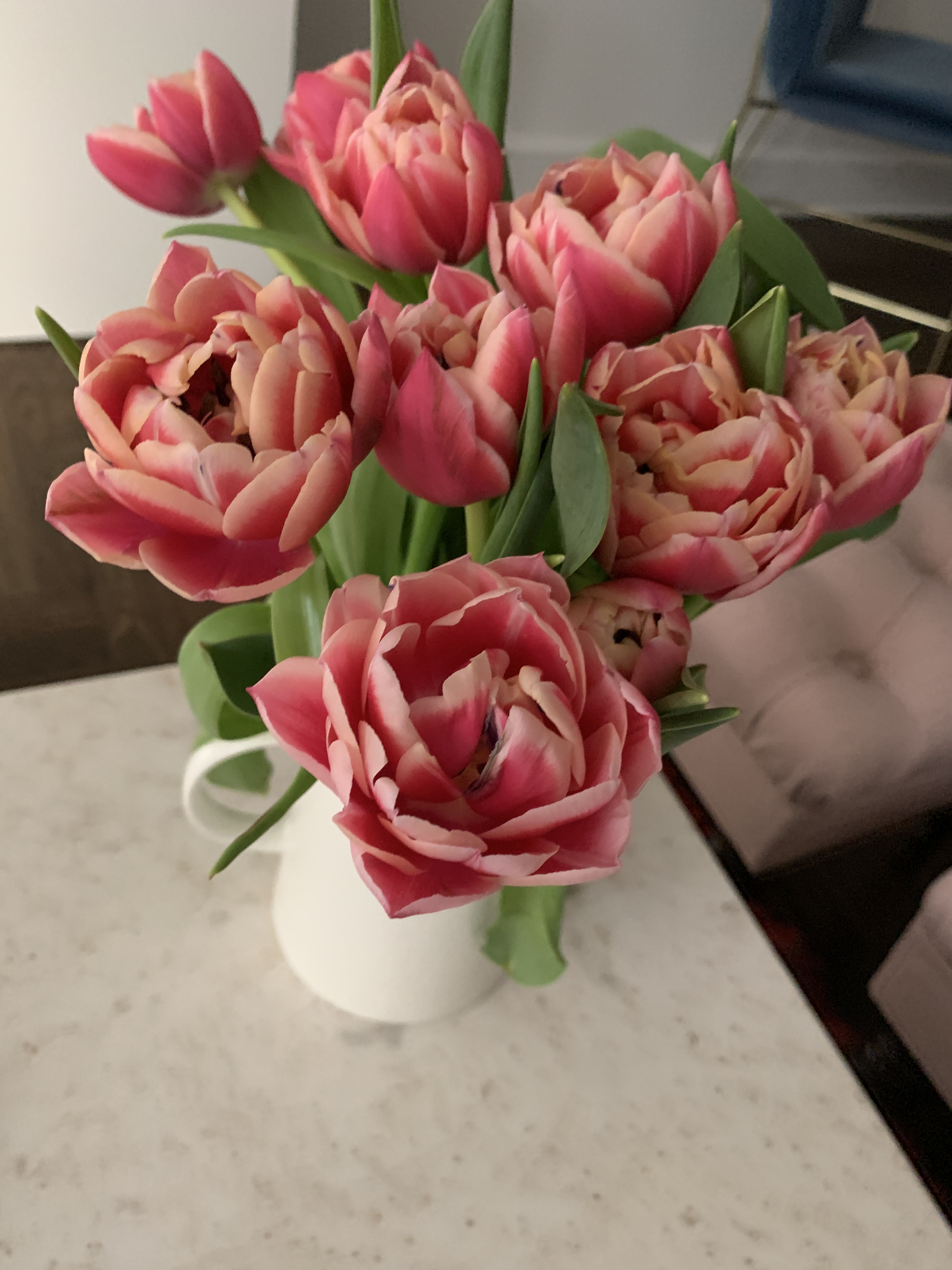 9BAFE6A2-DD1C-45F5-8826-E16DD5BECA06