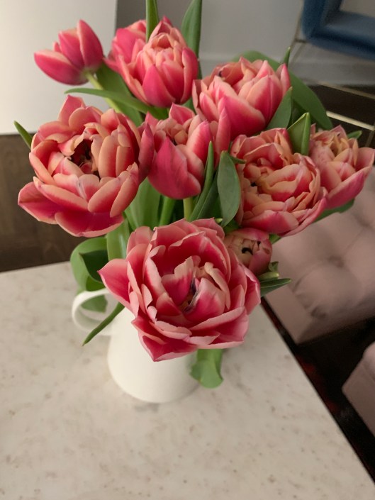 9BAFE6A2-DD1C-45F5-8826-E16DD5BECA06