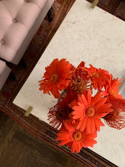 F0A490FC-C1FF-4B74-A8F0-D66628EE36CB