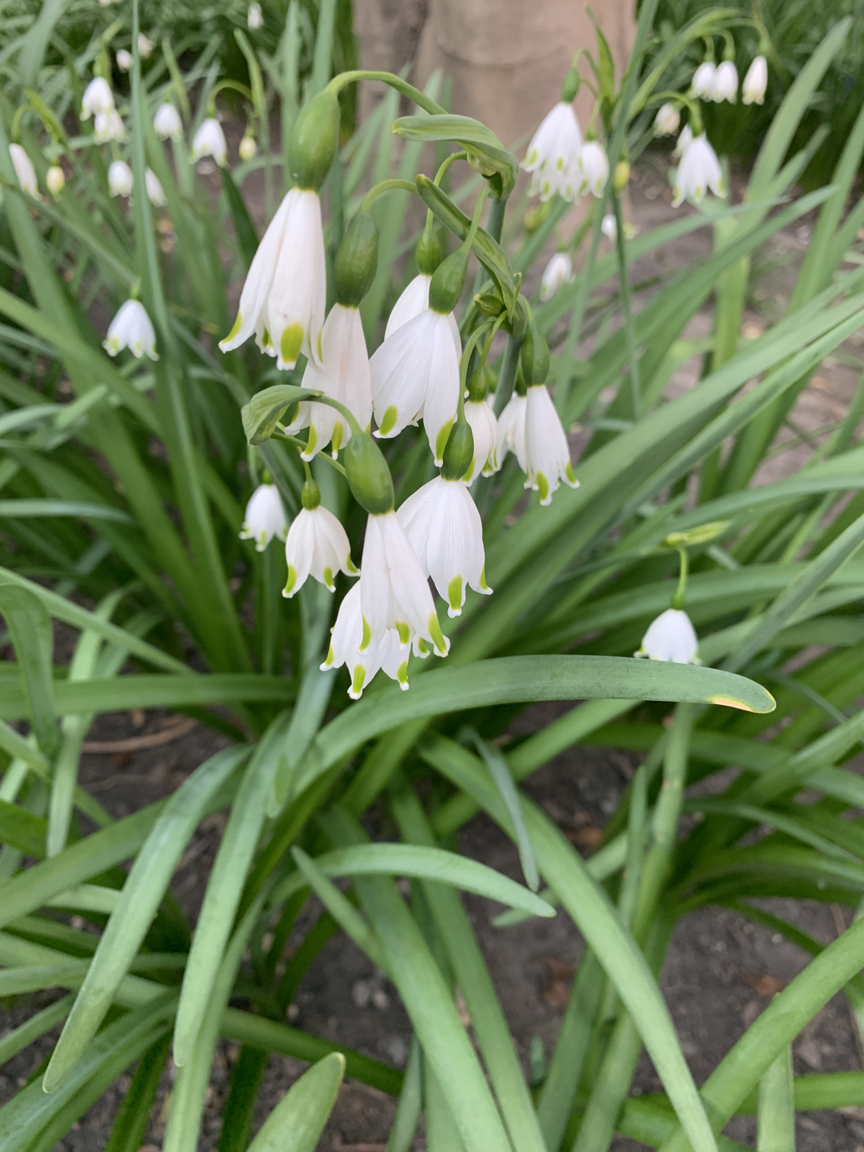 FDB3528E-3619-48D4-836D-673B9C0DF129