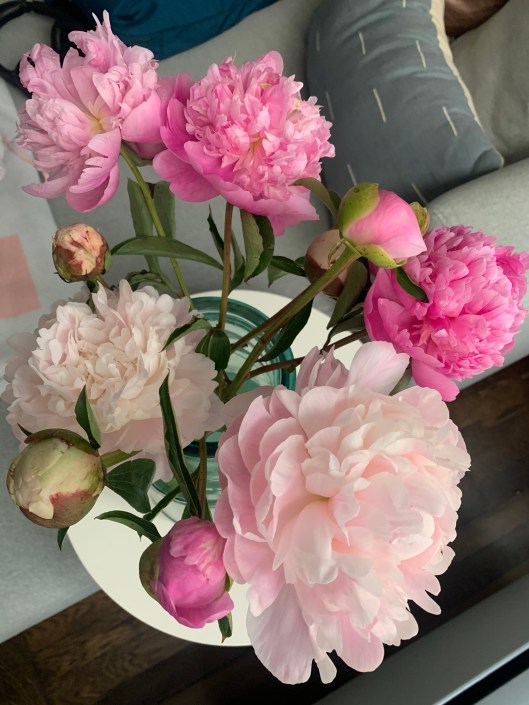 6A1B7A36-6166-46B7-A452-DA32B3DC5656