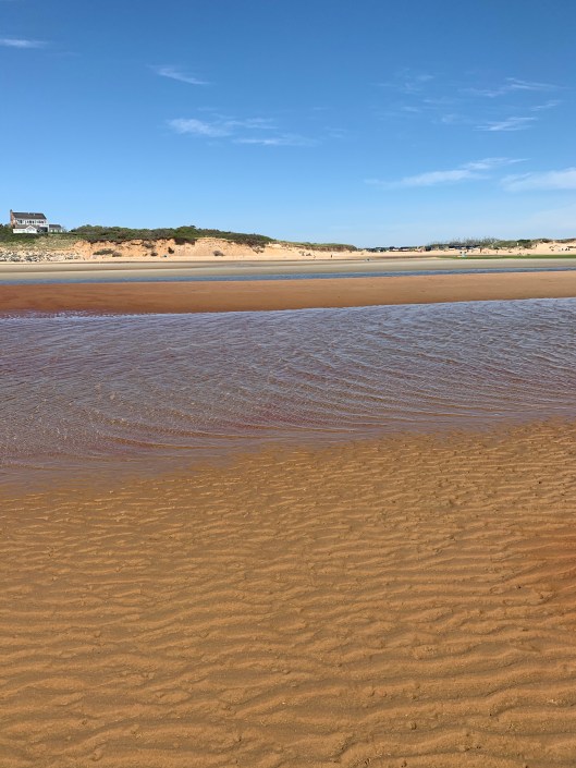 24170B5D-ED15-45EF-9FFC-751A0853E94E