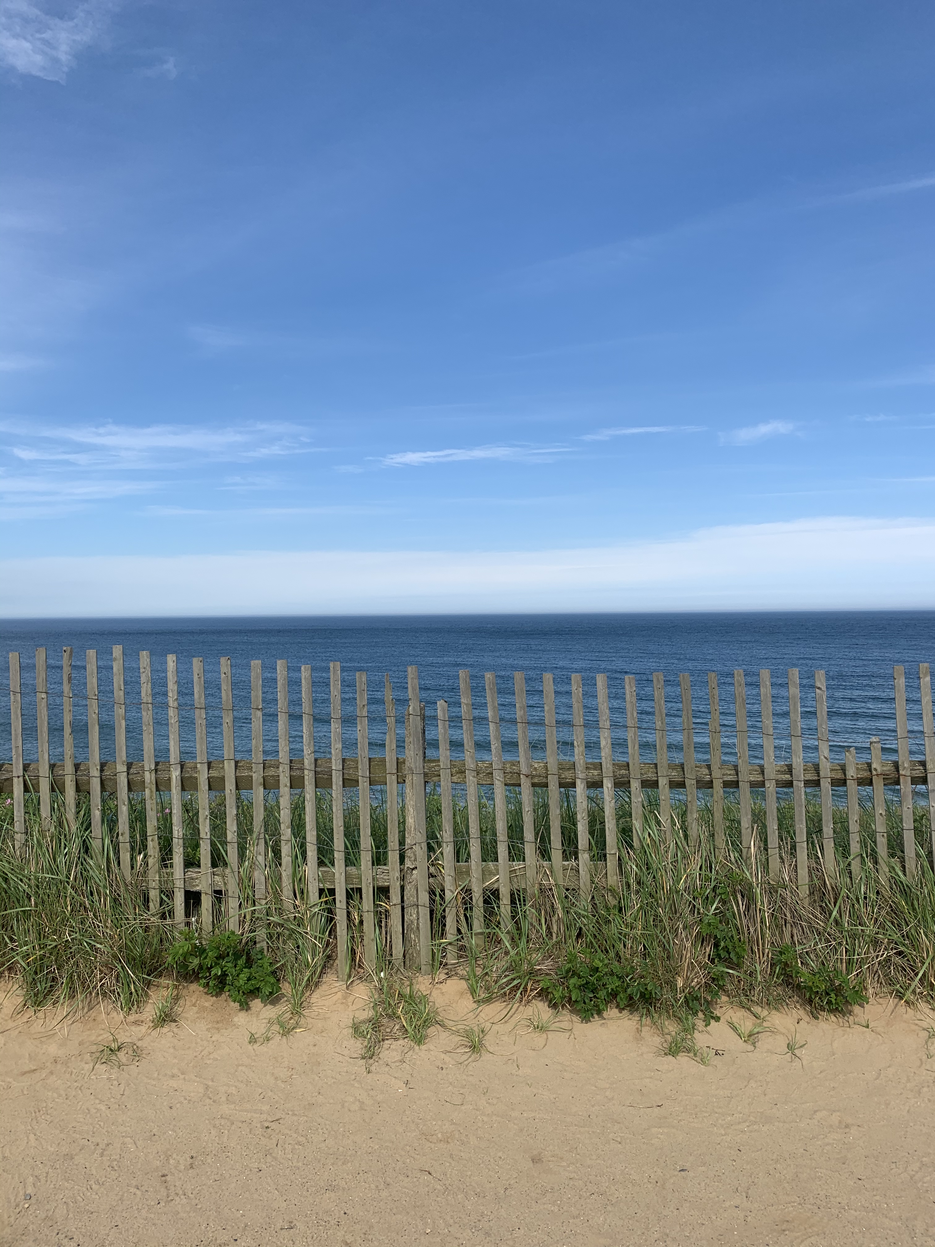 261E2920-53D3-422D-8160-946162761EE0