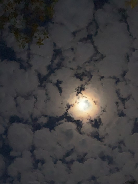 4A4B7ACF-943A-4AB9-9543-AD2F95F89593