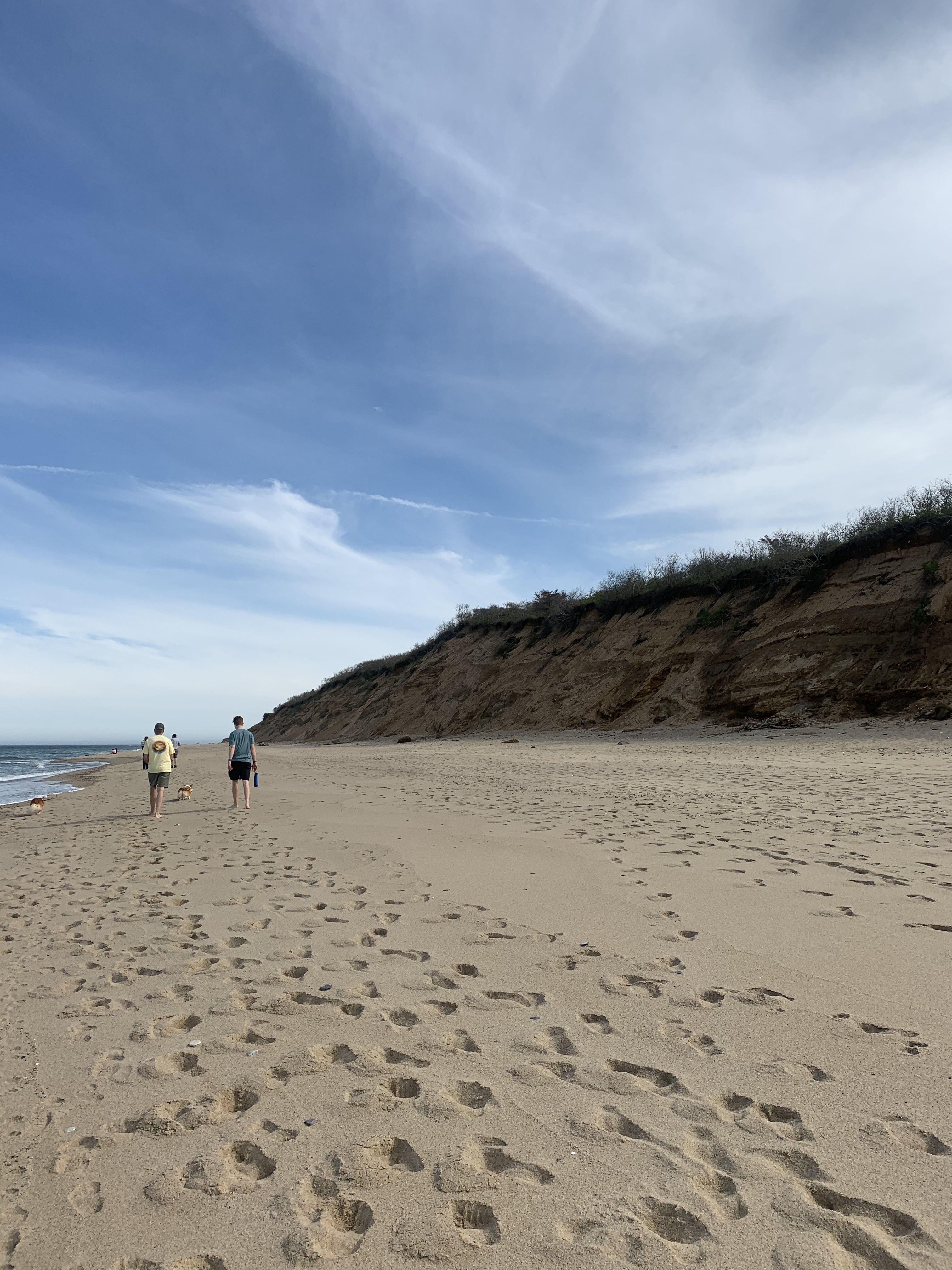 59B775BD-2C89-4580-9EF3-5DC9BDCF4847