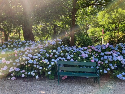 833F5714-AF42-456E-8E0A-9BA1B5E6C0BE