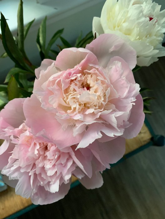 91C05962-BFEC-4608-BD18-AD617A826A40