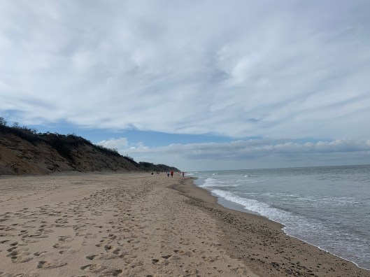 A21C581C-91FA-4D17-A585-0D0F098B7585