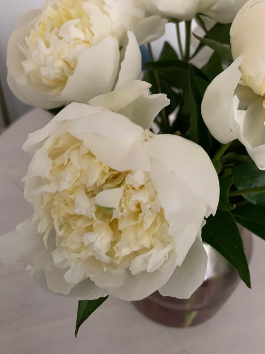 AA0DF4BC-242B-410A-8A47-14EABC12DBFA