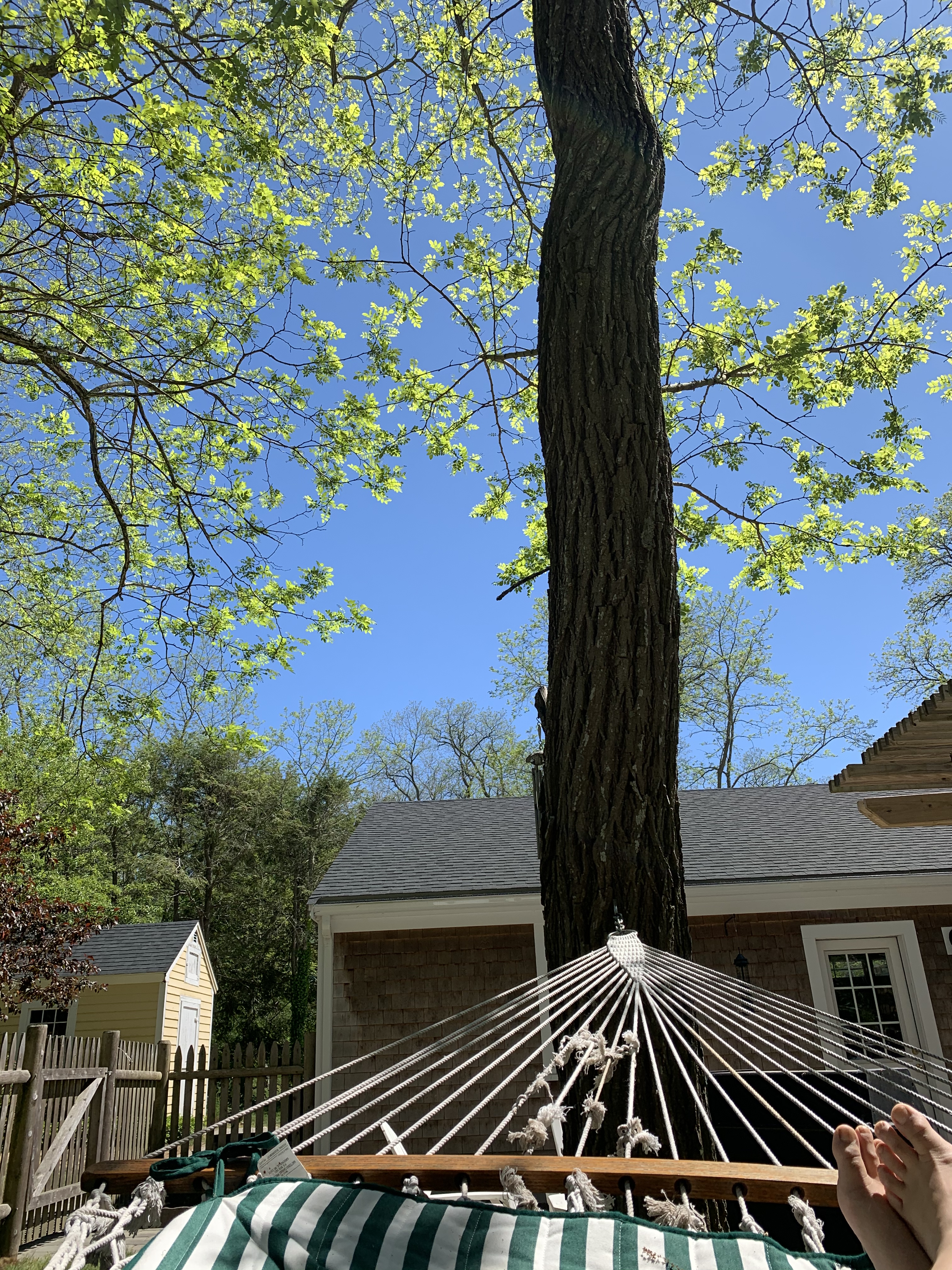 B60C9934-B1E0-4A5A-927F-C1C3AE910031