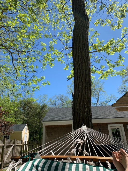 B60C9934-B1E0-4A5A-927F-C1C3AE910031