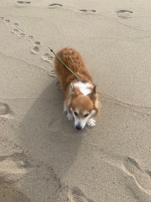 FDF741CB-9D78-4132-B366-7150A9412FEA