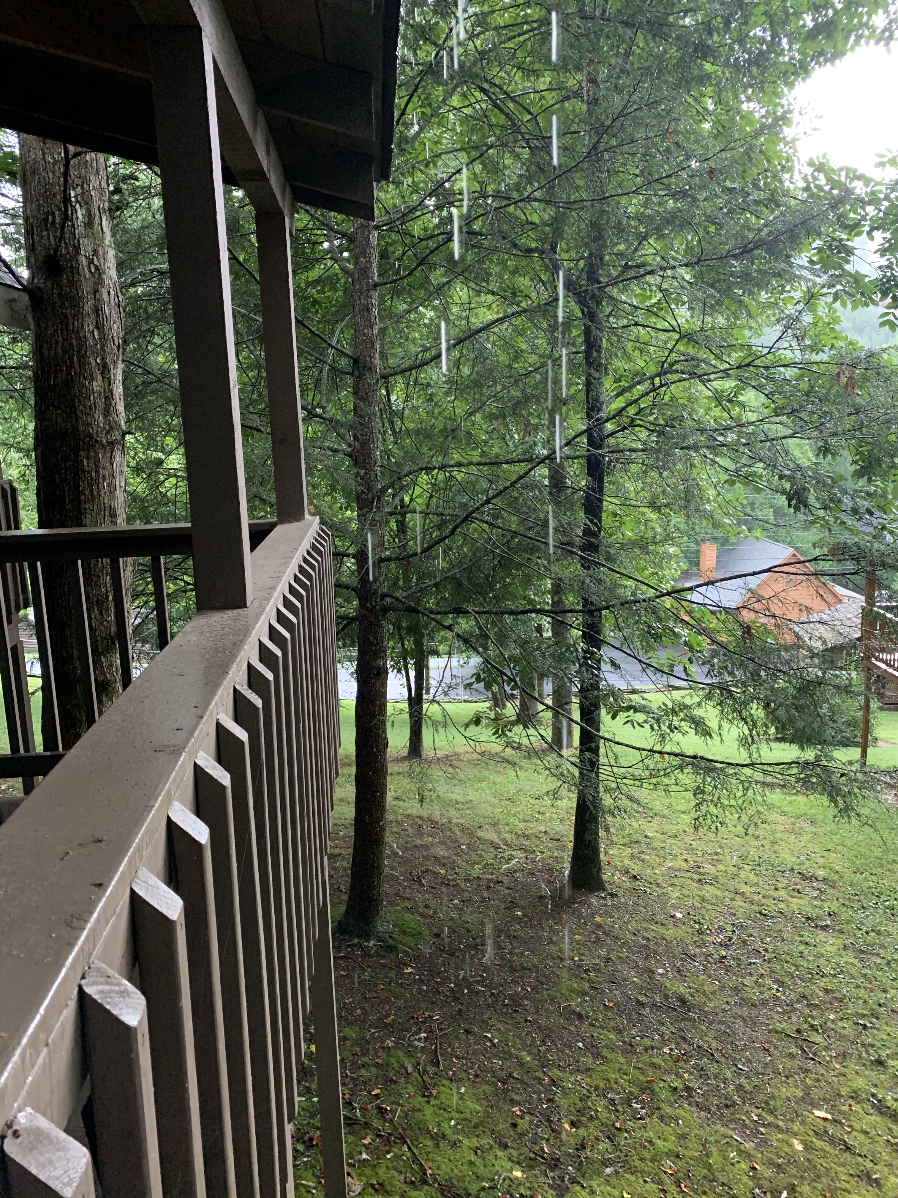 21D7047C-9965-45AD-89E4-13E3E03689D8