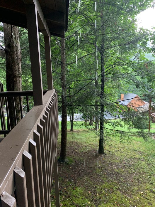 21D7047C-9965-45AD-89E4-13E3E03689D8