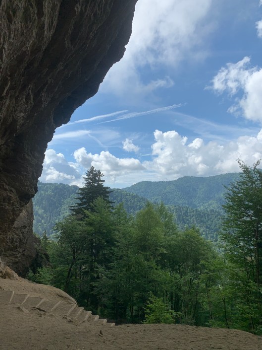 4978C8D3-7A05-49F3-A814-F2140F83A732