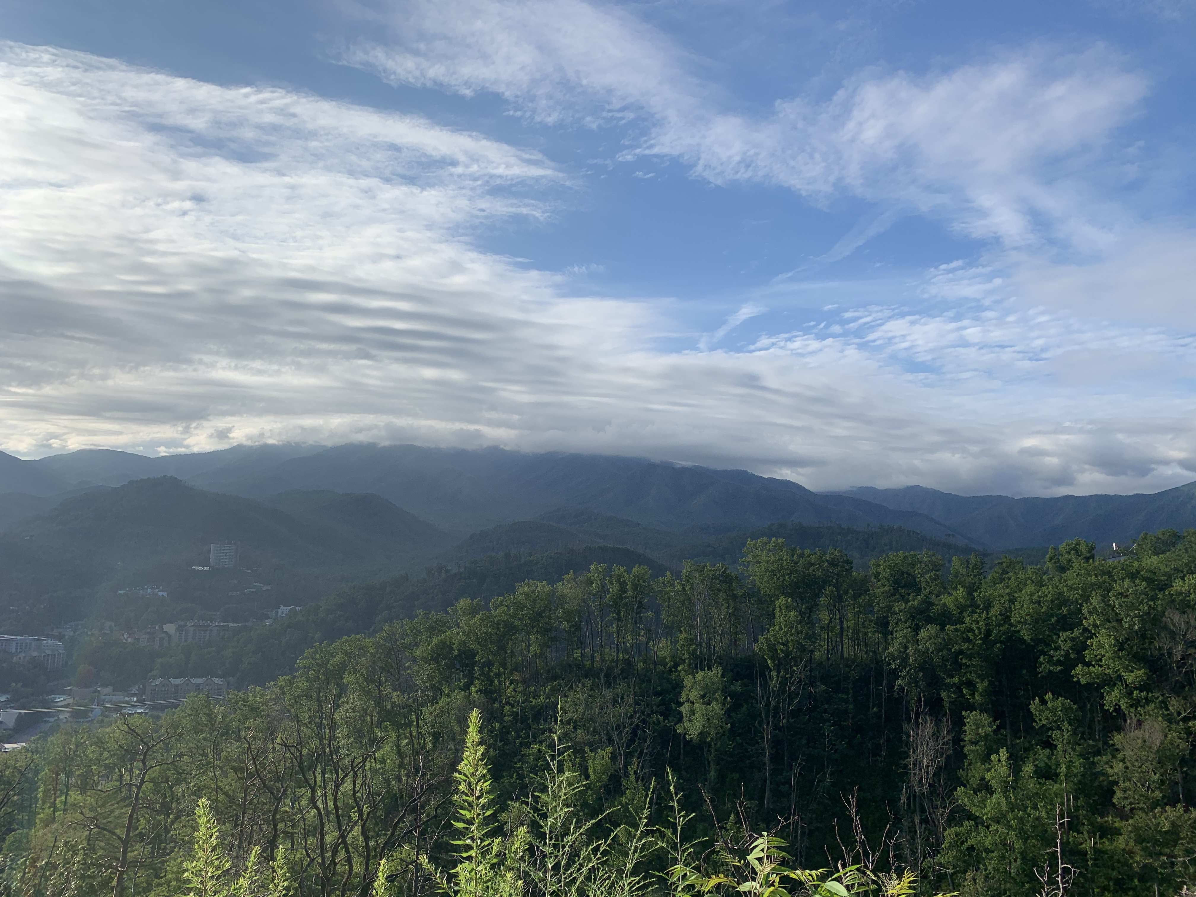 5A05757F-546C-445F-9C1B-40F07D88E487