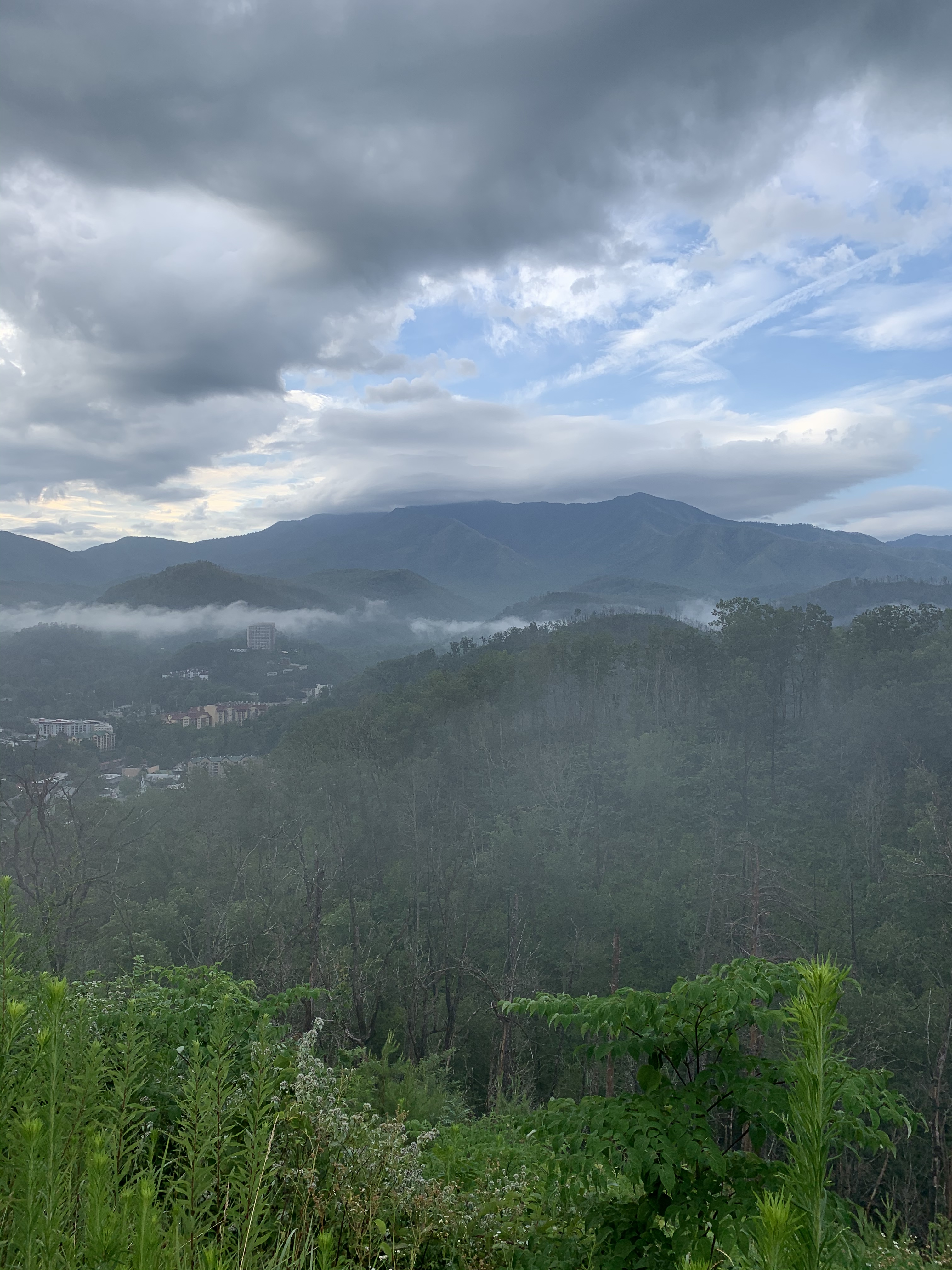 62C9AB59-65F8-4658-93A5-B1D7925B477D