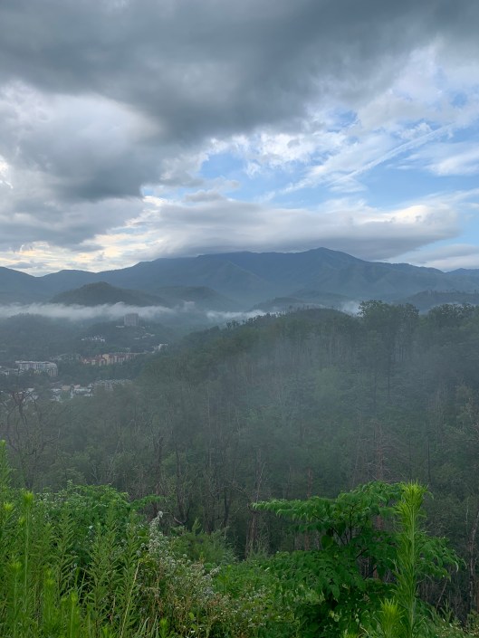 62C9AB59-65F8-4658-93A5-B1D7925B477D