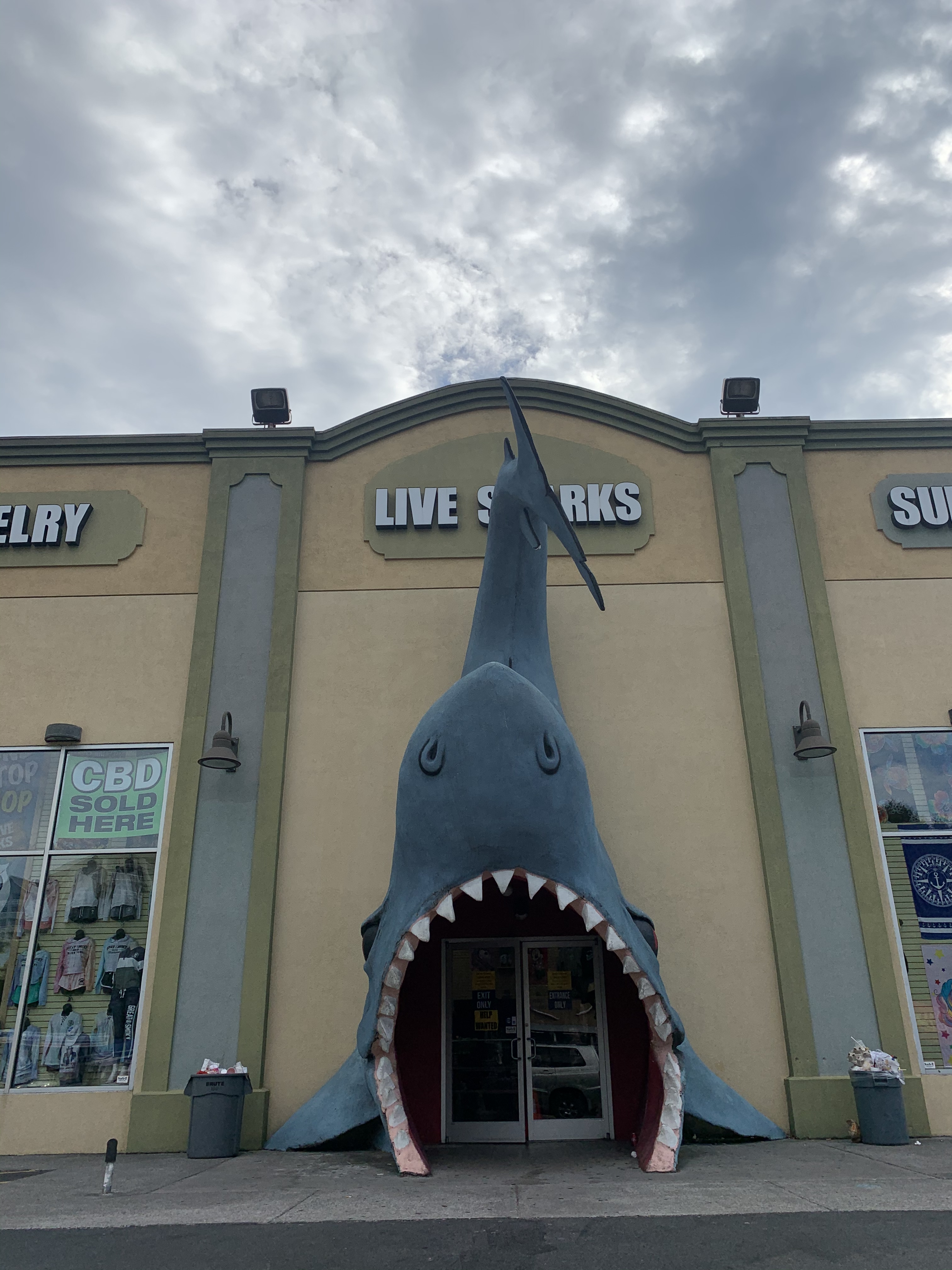 7B643D69-872A-4756-A94A-DB7B3BE0BCBE