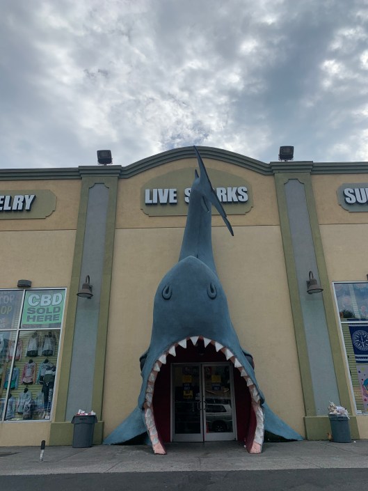 7B643D69-872A-4756-A94A-DB7B3BE0BCBE