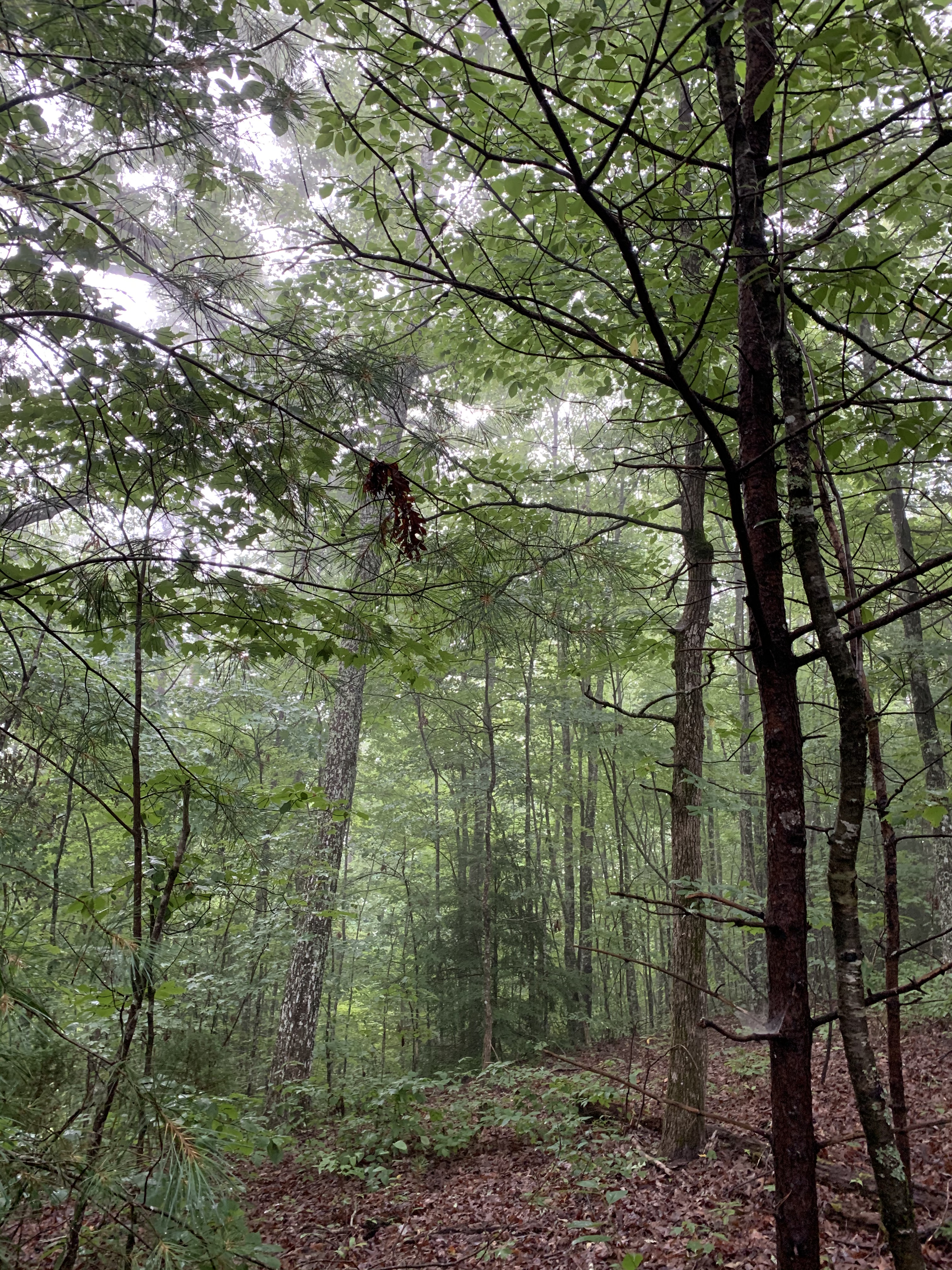 7C374F5E-A452-4973-8C41-71A97D5E0942