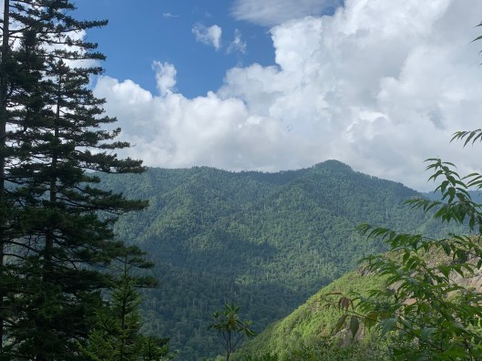 85A8C6D2-E7C8-4BDD-B2DC-91E15FB0D07E