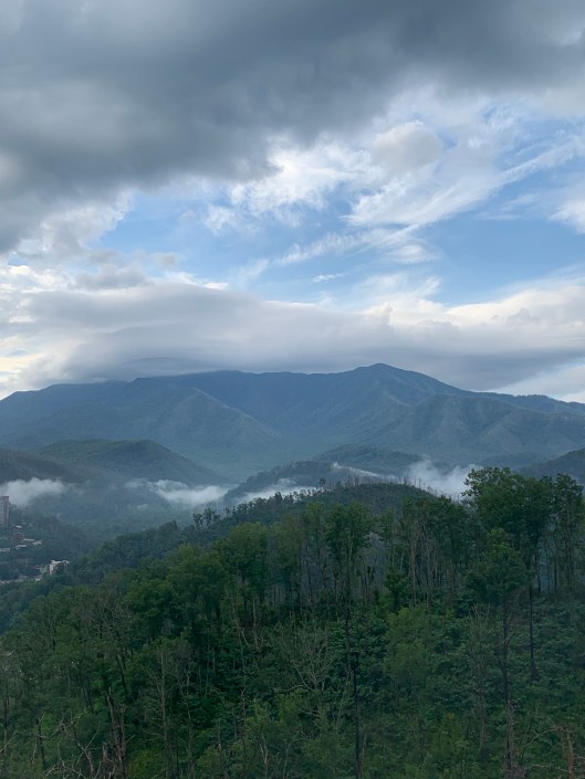 9F44EE63-F5FF-40B0-9456-4D3161DAE022