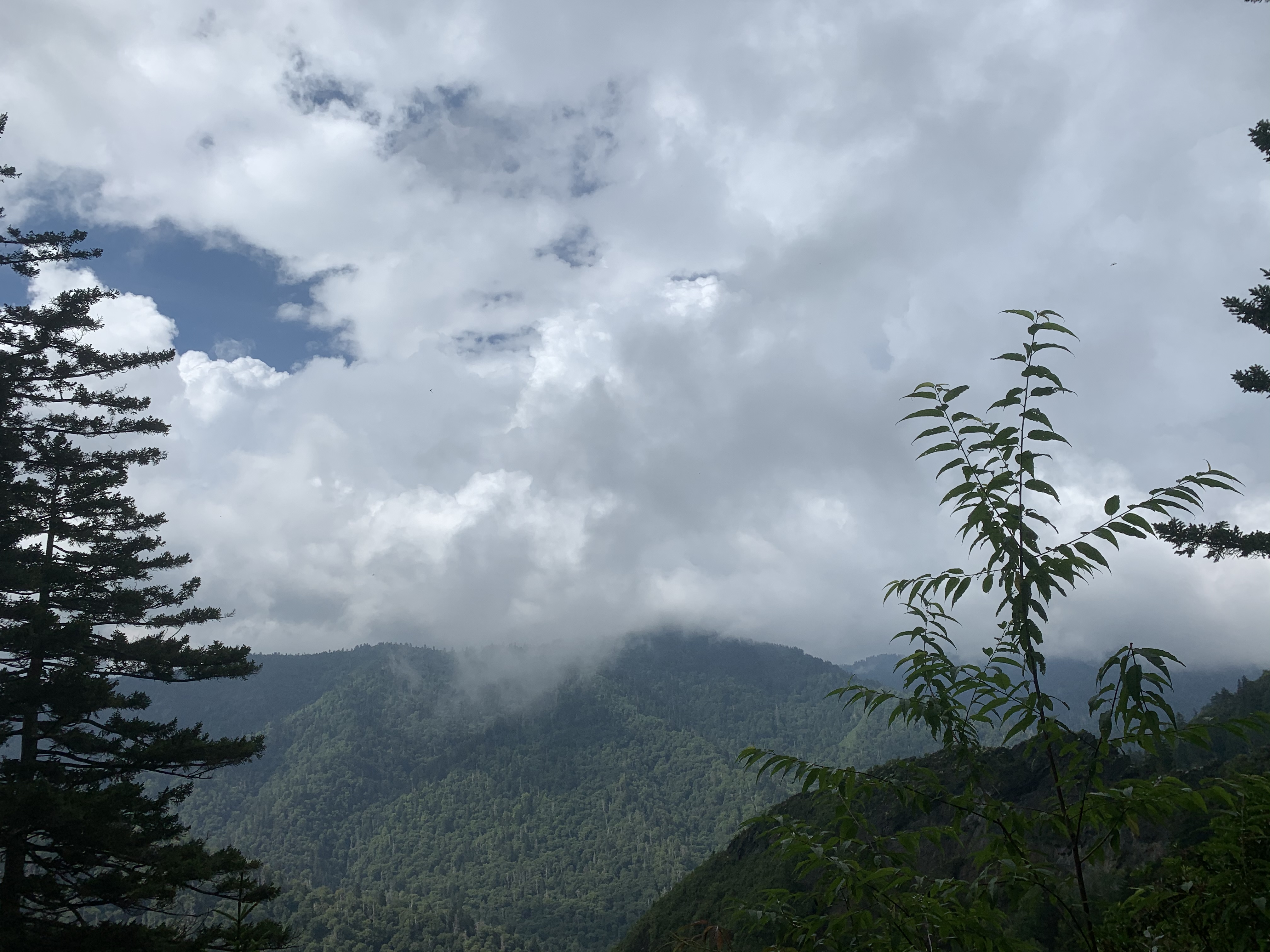 ABBA2A62-50E2-4522-BD81-B94C7BF18884