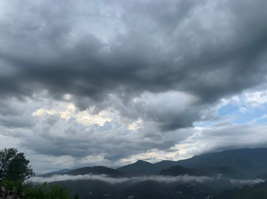 BDF8ACBE-8451-4EB7-90D0-3083E6AB72BE