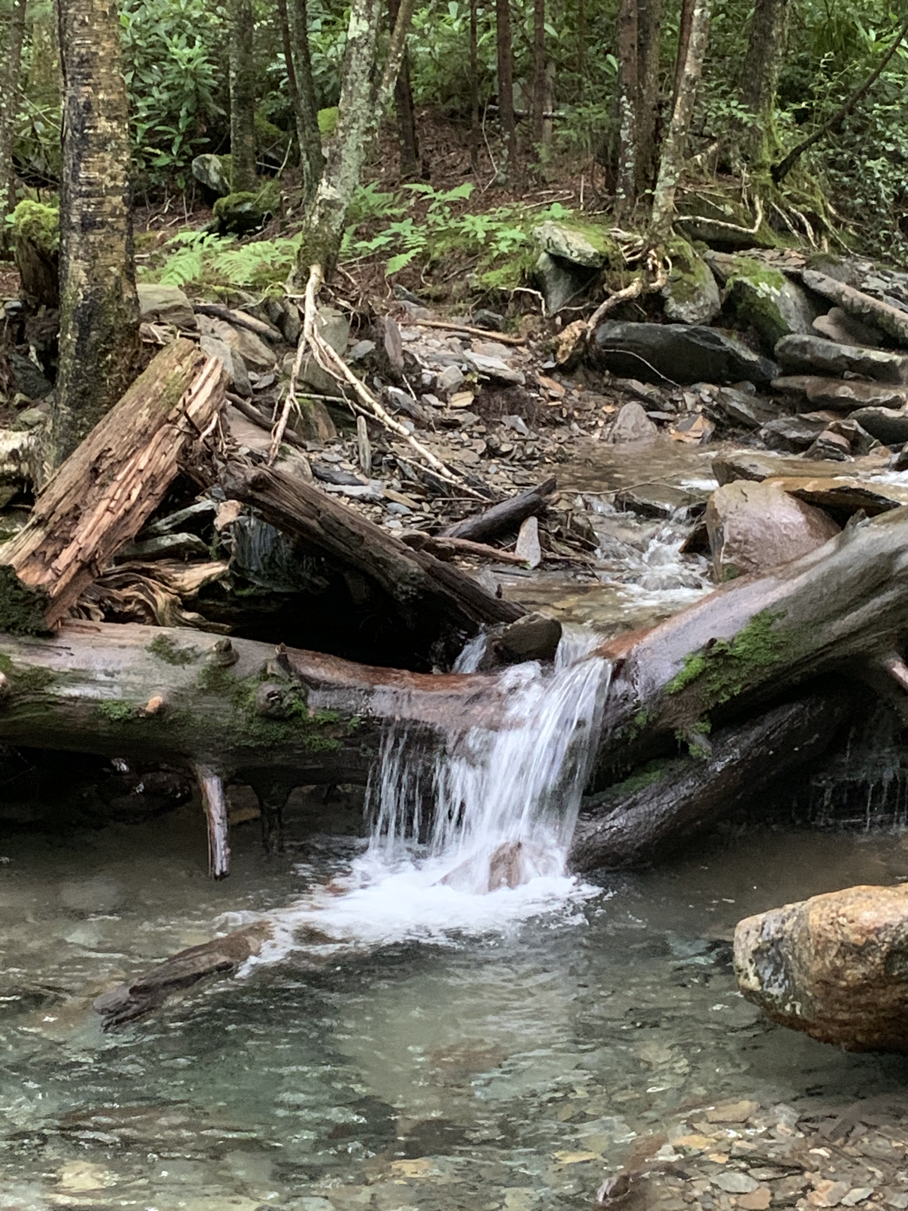 C2830E96-3776-43C0-B050-2A202DD6B438