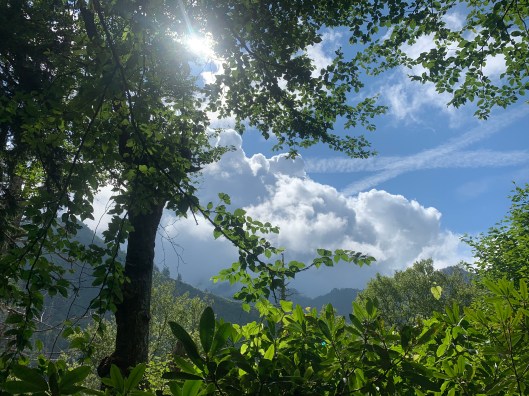 C659EF05-69C1-44CA-8AB4-FC28F47AA686