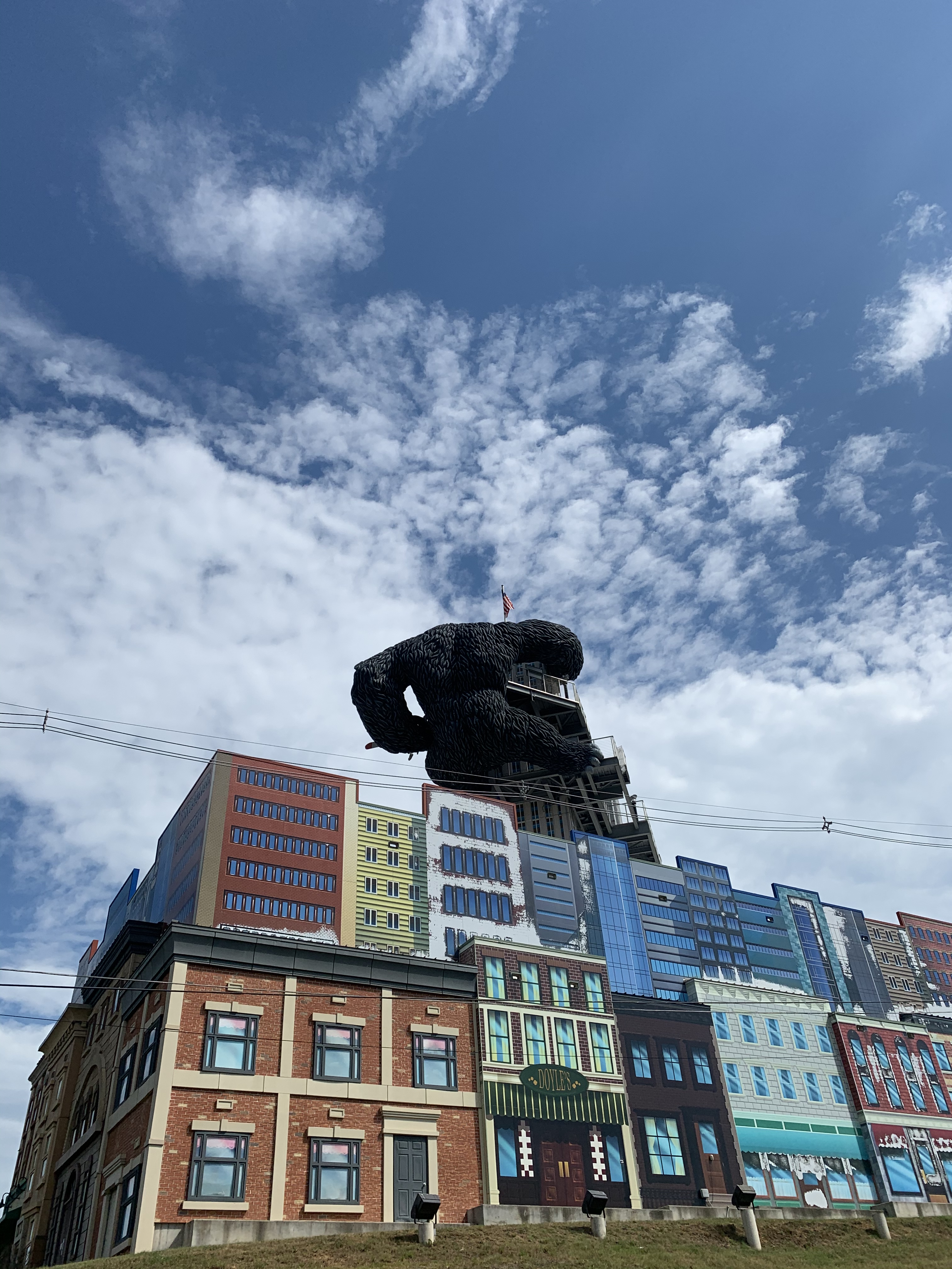 D5170310-1EFB-4E7C-9351-026F320FE10F