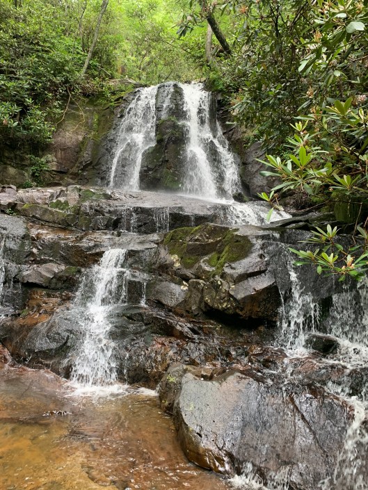 DF905662-6C65-4099-9A02-D16CC89D5308