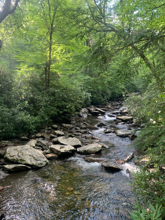 DFAC6BE3-C8B5-4D3C-98A8-996119075A55